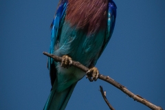 January_2019_Gallery_web-5899