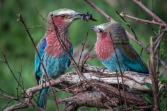 January_2019_Gallery_web-5953