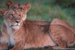 January_2019_Gallery_web-5972