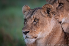 January_2019_Gallery_web-5986