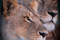 January_2019_Gallery_web-5988