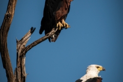 January_2019_Gallery_web-6030