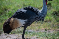 January_2019_Gallery_web-6039