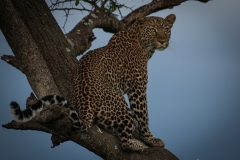 January_2019_Gallery_web-6097