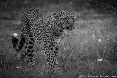 January_2019_Gallery_web-6230