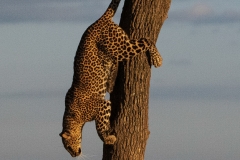 January_2019_Gallery_web-6377