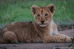 January_2019_Gallery_web-6514