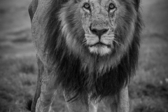 January_2019_Gallery_web-6524