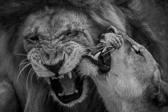 January_2019_Gallery_web-6593