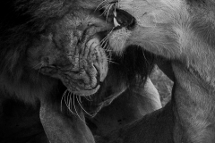 January_2019_Gallery_web-6594