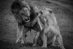 January_2019_Gallery_web-6595