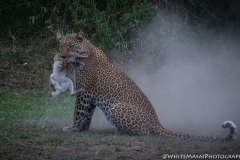 January_2019_Gallery_web-6668