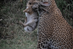 January_2019_Gallery_web-6680