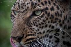 January_2019_Gallery_web-6820