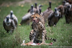 January_2019_Gallery_web-6939