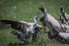 January_2019_Gallery_web-6978