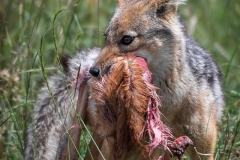 January_2019_Gallery_web-7068