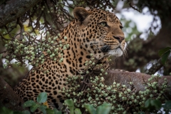 January_2019_Gallery_web-7202