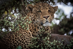 January_2019_Gallery_web-7224