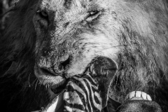 January_2019_Gallery_web-7318