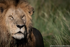 January_2019_Gallery_web-7369