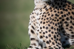 January_2019_Gallery_web-7427