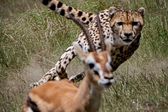 January_2019_Gallery_web-7502