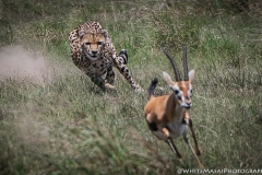 January_2019_Gallery_web-7504