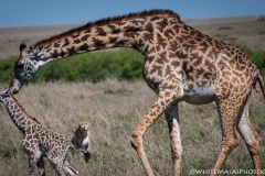 January_2019_Gallery_web-7905