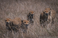 January_2019_Gallery_web-7980