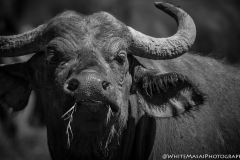 January_2019_Gallery_web-8722