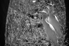 January_2019_Gallery_web-8746