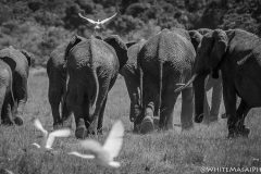 January_2019_Gallery_web-8774