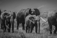 January_2019_Gallery_web-8802