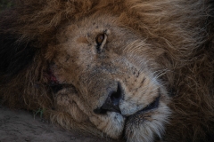 January_2019_Gallery_web-8872