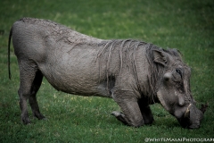 January_2019_Gallery_web-8885