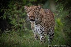 January_2019_Gallery_web-8967