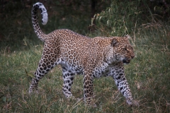 January_2019_Gallery_web-9072