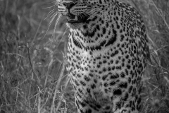 January_2019_Gallery_web-9146