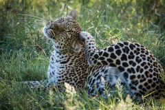 January_2019_Gallery_web-9260