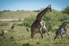 January_2019_Gallery_web-9311