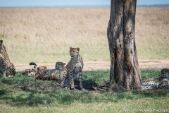 January_2019_Gallery_web-9521