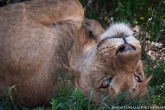 January_2019_Gallery_web-9590