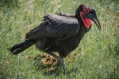 January_2019_Gallery_web-9596