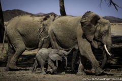 Nambia-May-19-1590-2