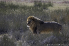 Nambia-May-19-2591-2