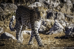 Nambia-May-19-3140-2