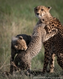 Samburu_Sept_2018-2-3