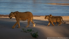 Samburu_Sept_2018-2557