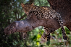 Samburu_Sept_2018-2636